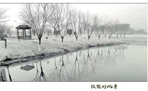 江蘇農(nóng)牧26.jpg