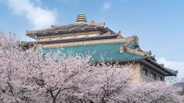 武漢大學(xué)_副本.jpg