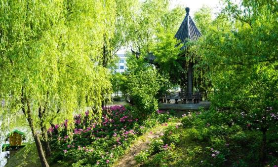 江蘇衛(wèi)生健康職業(yè)學(xué)院的夏天，來啦！6.jpg