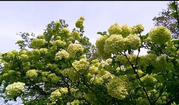 走進太湖創(chuàng)意職業(yè)技術學院5.jpg
