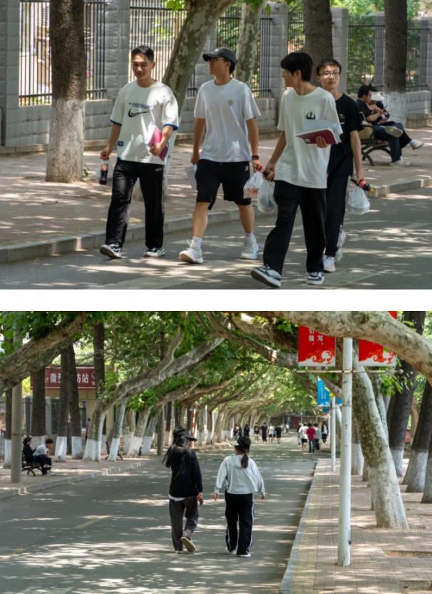 初夏隨風(fēng)而至，蘇建院陽光正好！3.jpg