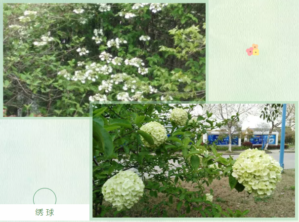 65c740acbb544ce3cc5d3ca9121fa96.png