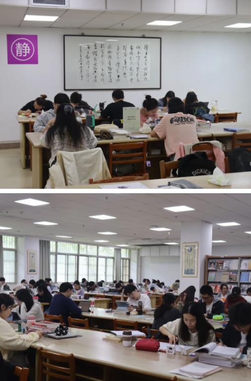 夏與人宜，“紫”因有你3.jpg