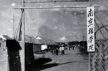 1719215397271.png