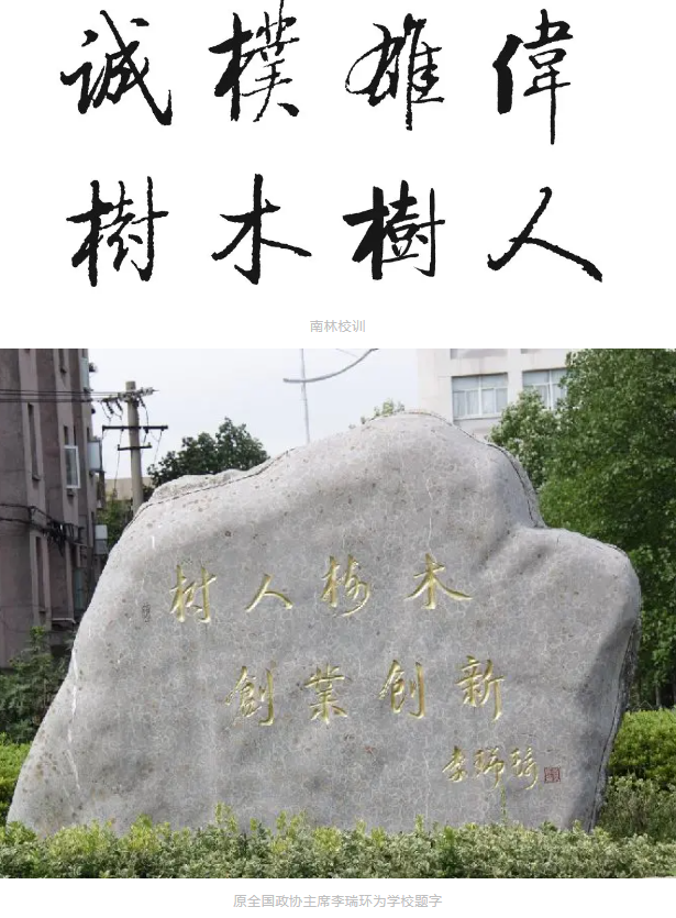1719216087414.png