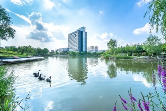 徐州工程學(xué)院7.webp_副本.jpg