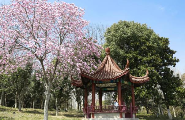 常大到底有誰(shuí)在啊2.jpg