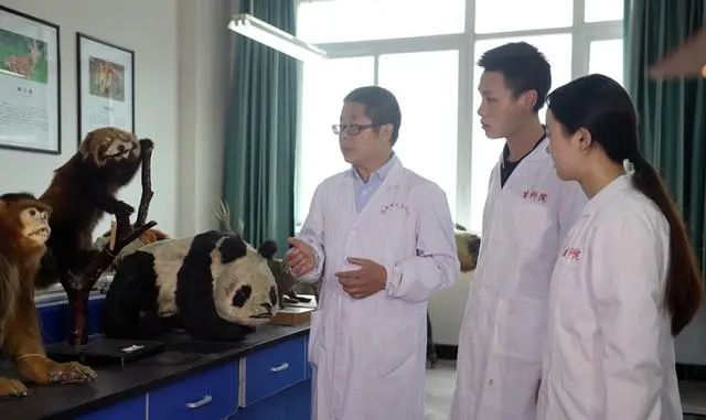 全國首個！師范大學大熊貓學院，將迎首批本科生.jpg