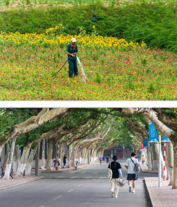 江蘇建筑職業(yè)技術學院5.jpg