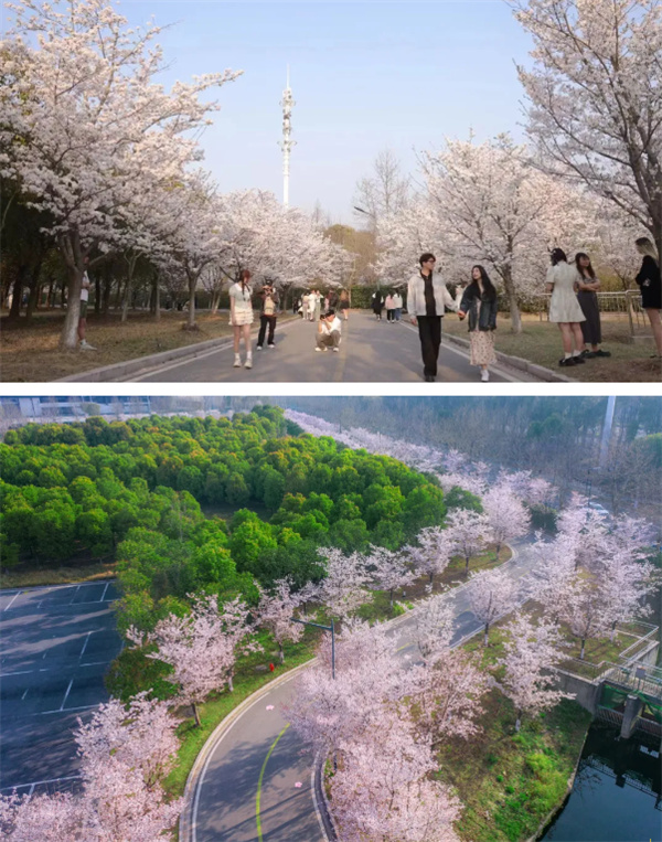 泰院3.2.jpg