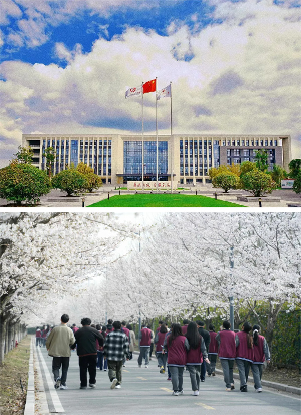 泰院3.jpg