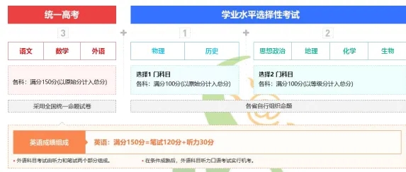 新高考.webp.jpg