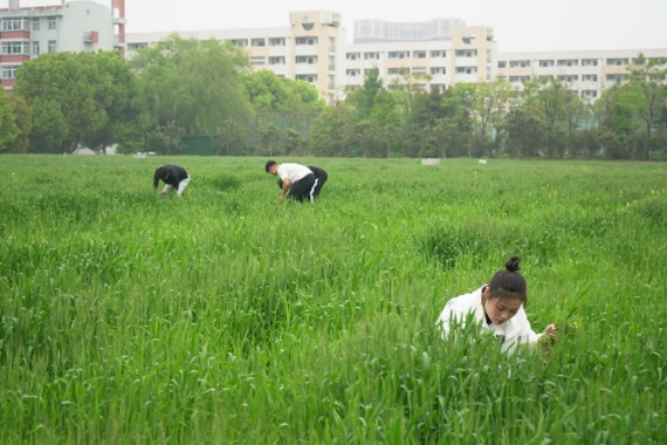 走，一起感受經(jīng)貿(mào)“文化味兒”！13_副本.png