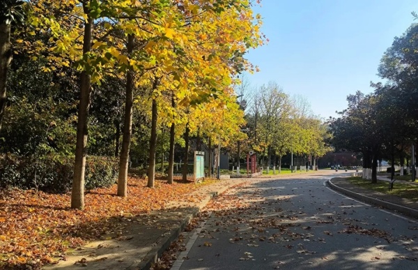 一鍵解鎖南京交通職業(yè)技術(shù)學(xué)院初冬“多巴胺”校園！2.webp_副本.jpg