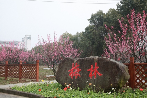 無(wú)錫商業(yè)職業(yè)技術(shù)學(xué)院：校園文化特色景點(diǎn)，點(diǎn)亮學(xué)府風(fēng)采12_副本.jpg