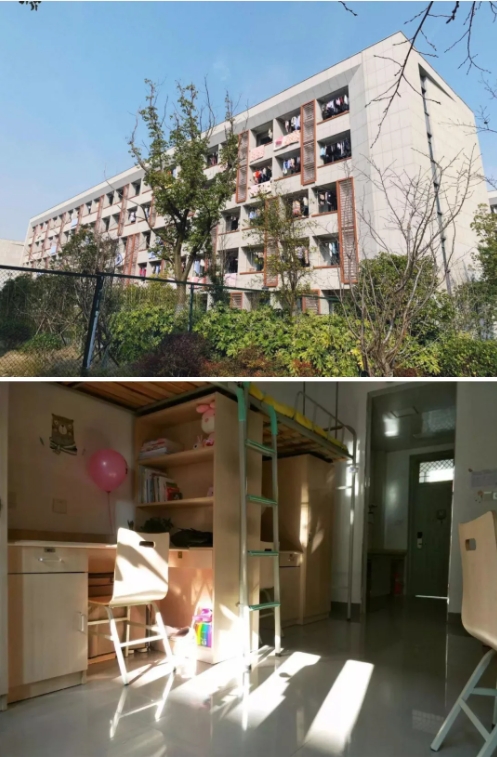 泰職院3.png