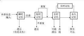 高中生學習.webp.jpg