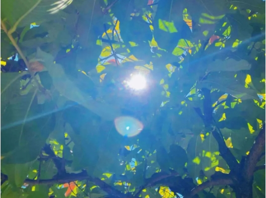 透過“縫隙”，看美好的蘇衛(wèi)校園生活3.png
