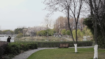嘿！江蘇經(jīng)貿(mào)職業(yè)技術(shù)學(xué)院的春天按下了播放鍵！8_副本.jpg
