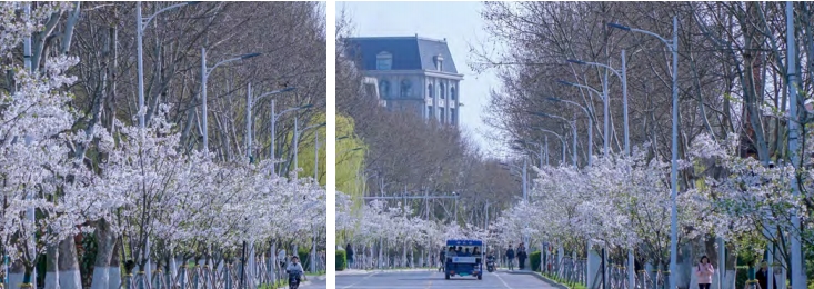 2025年南京信息工程大學(xué)2+2國際本科項目招生簡章6.png