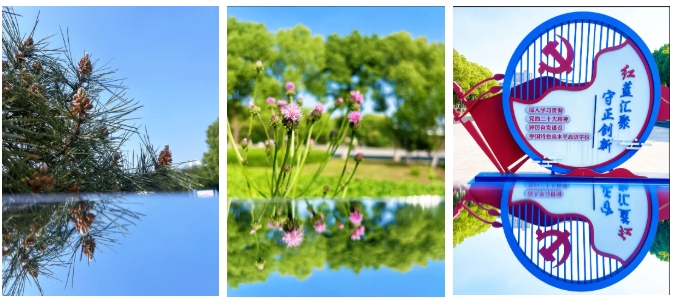 常信校園街拍：春深半夏，五月你好！9.png
