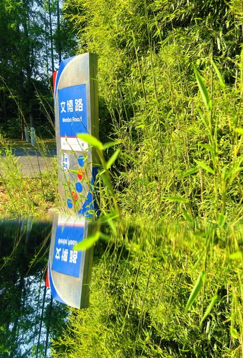 常信校園街拍：春深半夏，五月你好！11.png