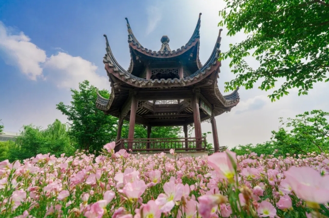 蘇工er，請(qǐng)簽收你的快遞！2.png