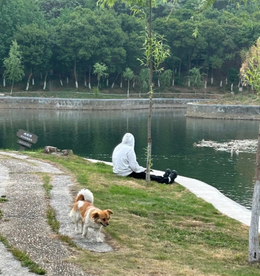 東南大學(xué)成賢學(xué)院校園打卡，看你更pick哪種！7.png