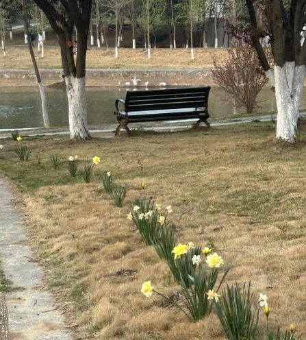 東南大學(xué)成賢學(xué)院校園打卡，看你更pick哪種！8.png