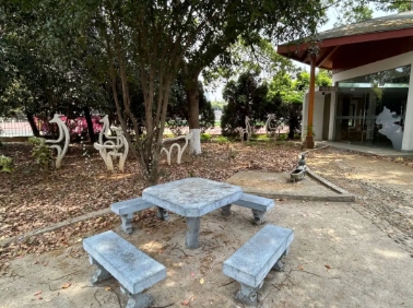 東南大學(xué)成賢學(xué)院校園打卡，看你更pick哪種！13.png