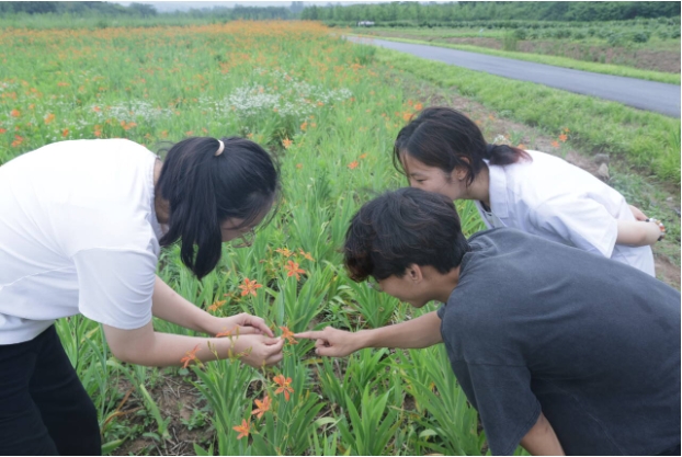 江蘇護(hù)理職業(yè)學(xué)院：探尋中醫(yī)藥文化傳承與創(chuàng)新2.png