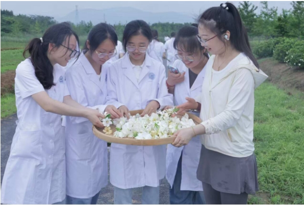 江蘇護(hù)理職業(yè)學(xué)院：探尋中醫(yī)藥文化傳承與創(chuàng)新3.png