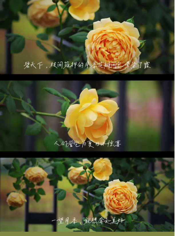 南機(jī)電的空鏡頭詩2.png